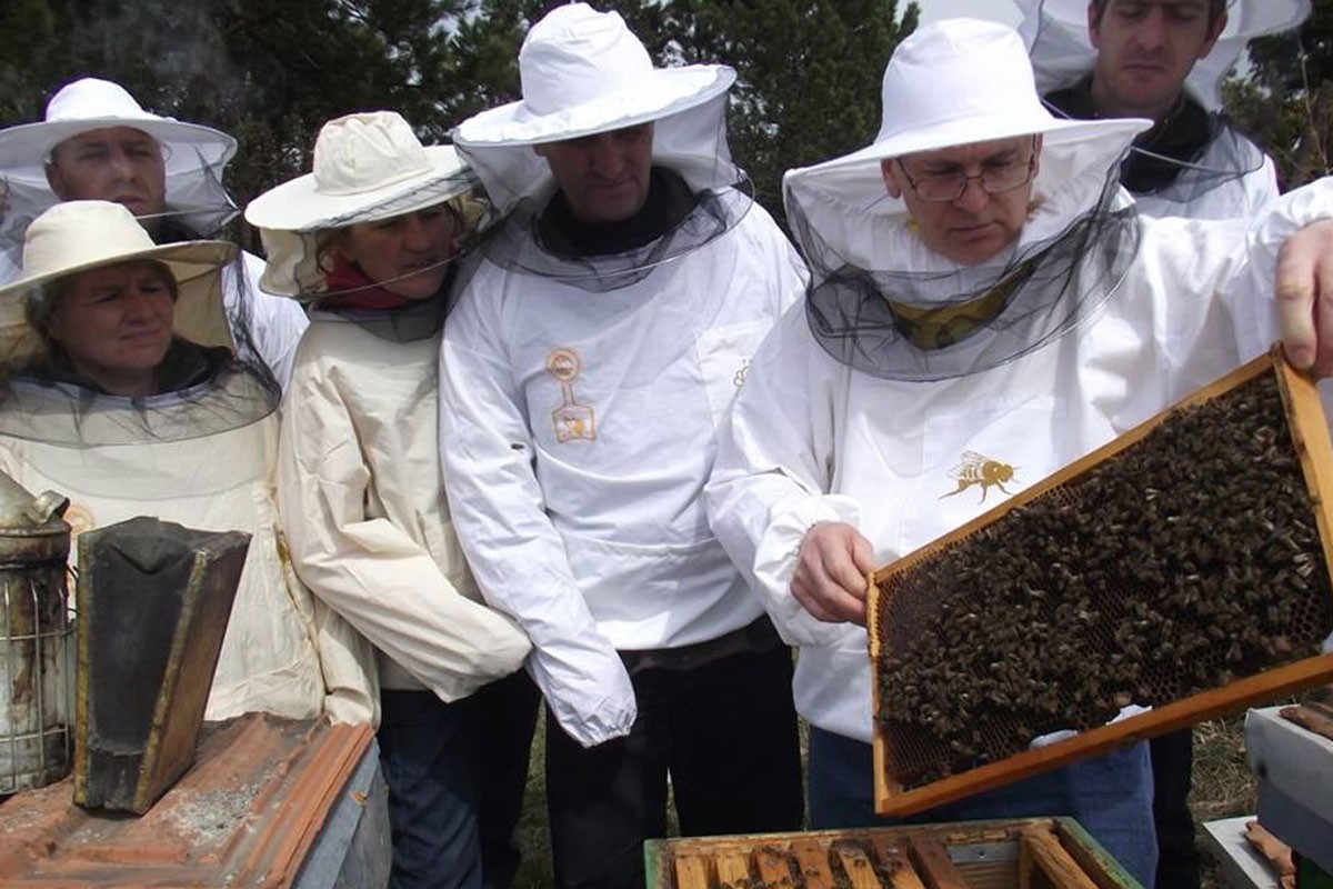 Suša umanjila optimizam pčelara