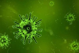 U Hrvatskoj 722 zaraženih virusom korona, umrlo osam osoba
