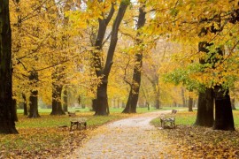 Kako jesen utiče na zdravlje?