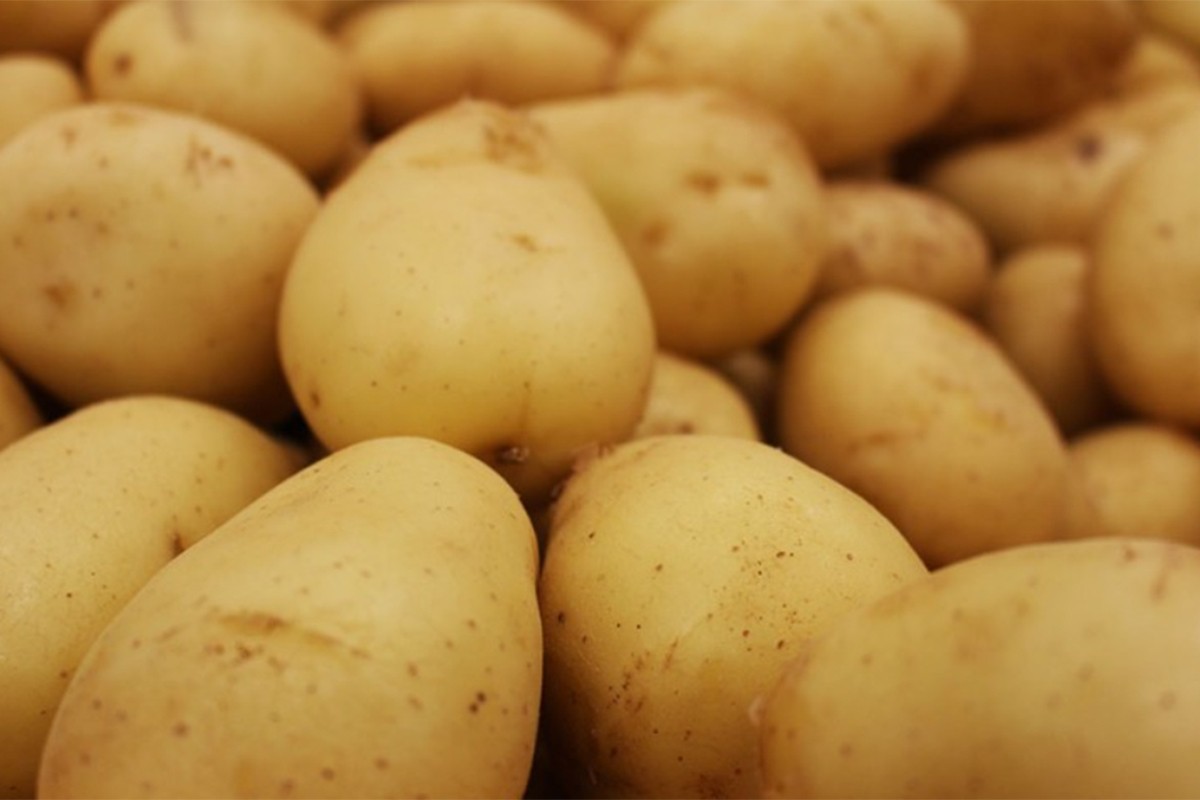 Pomoću krompira možete ublažiti bolove migrene i u vratu