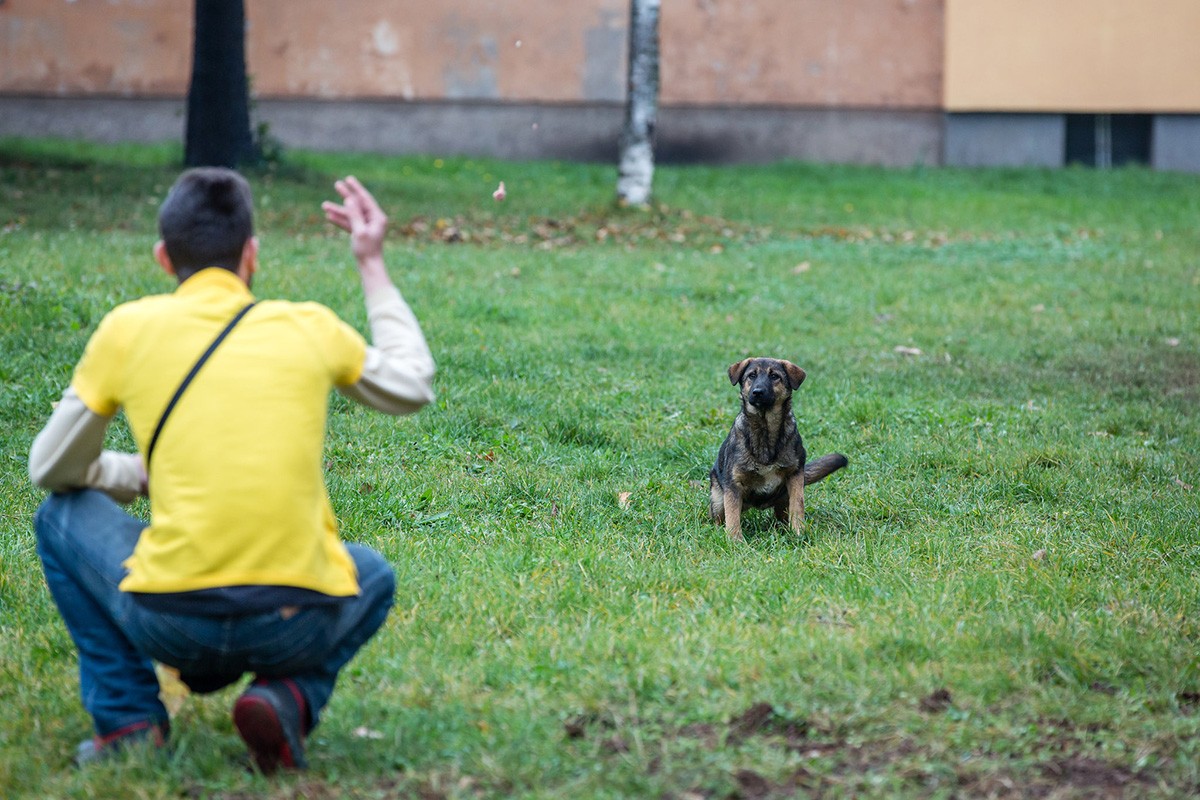 "Dogs Trust": Deset godina u BiH, i nastavljamo zajedno!