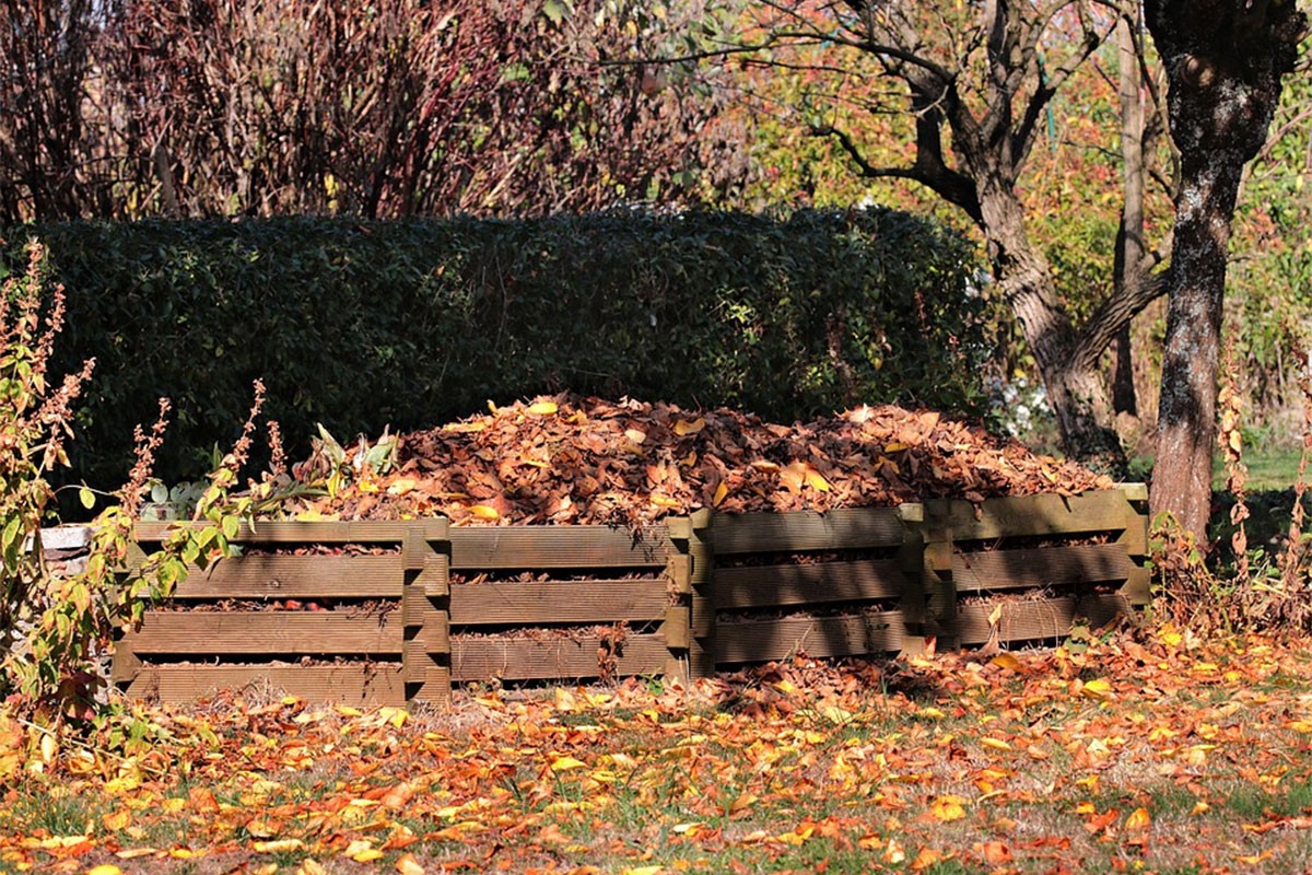 Kako početi kompostirati lišće i zašto to trebate stalno raditi