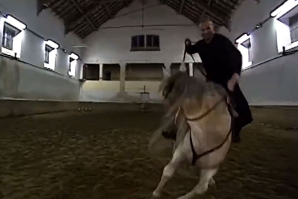 Zidan pao s konja i sjajno se dočekao (VIDEO)
