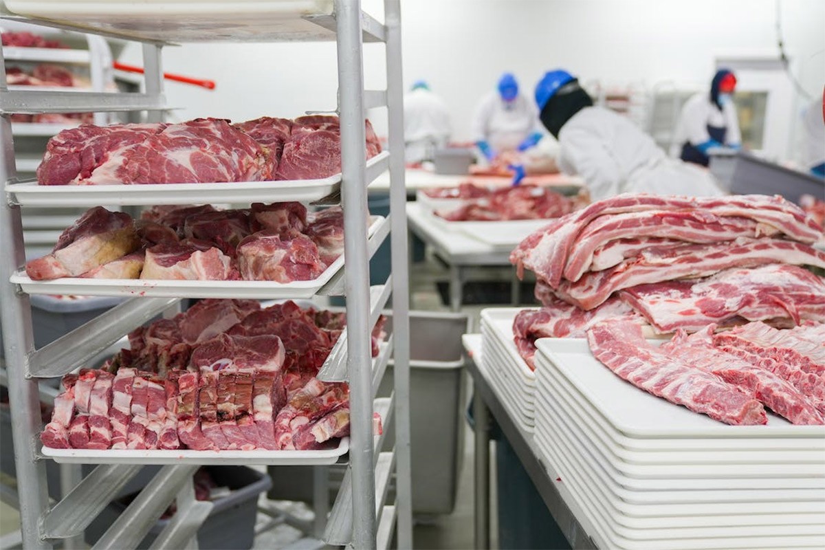 Studija: Proizvodnja mesa globalno neodrživa