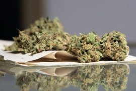 Policija iz zasjede zaplijenila 30 kg marihuane, dvojica završila s ...