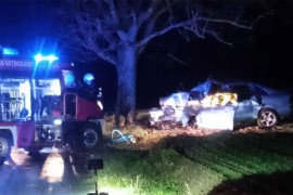 Teška nesreća u Bijeljini: Autom se zabio u drvo i poginuo