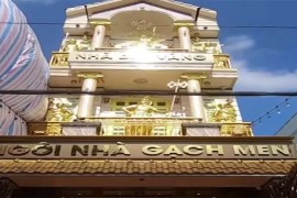 Vijetnamac izgradio "zlatnu kuću" (VIDEO)