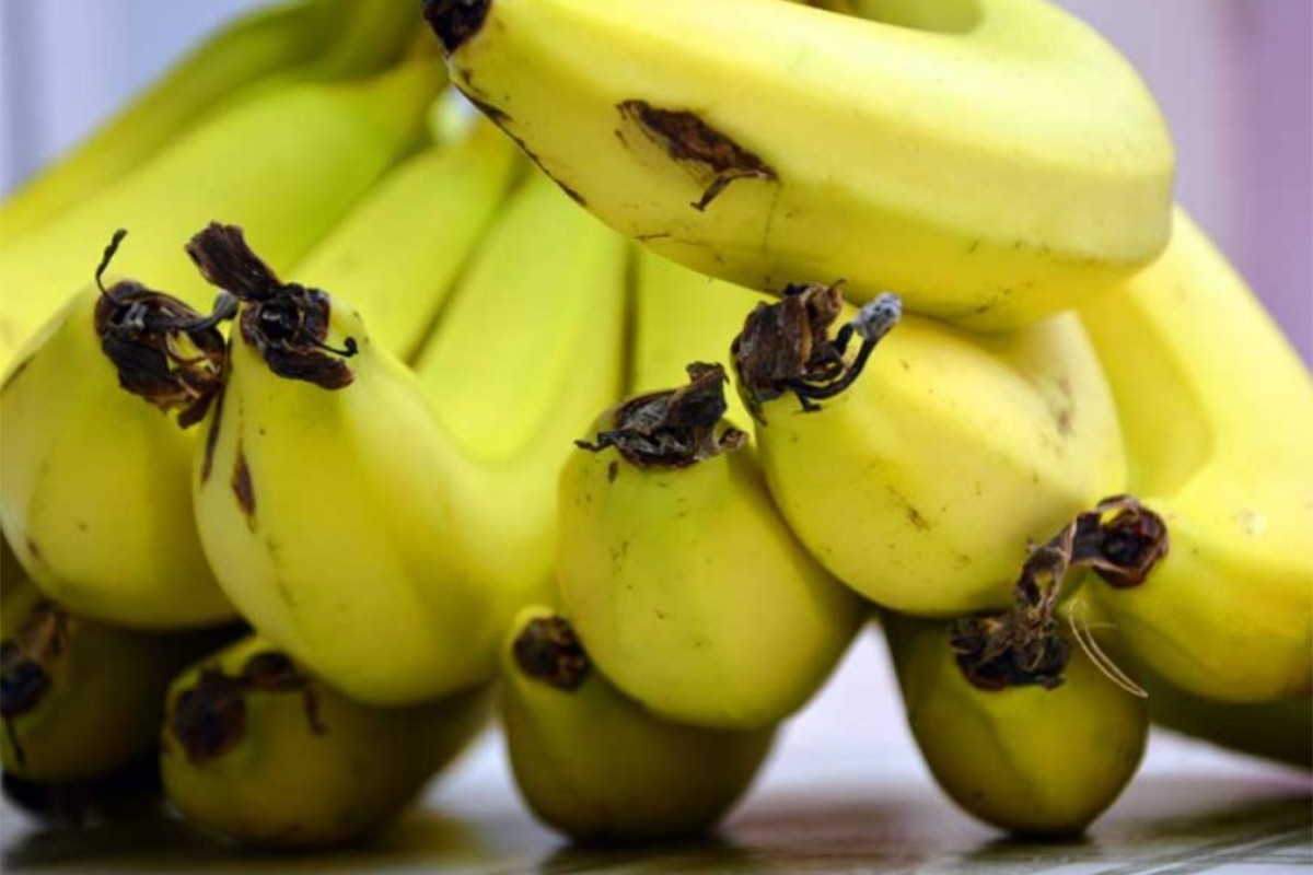 Naredne godine banane skuplje i za 20 odsto