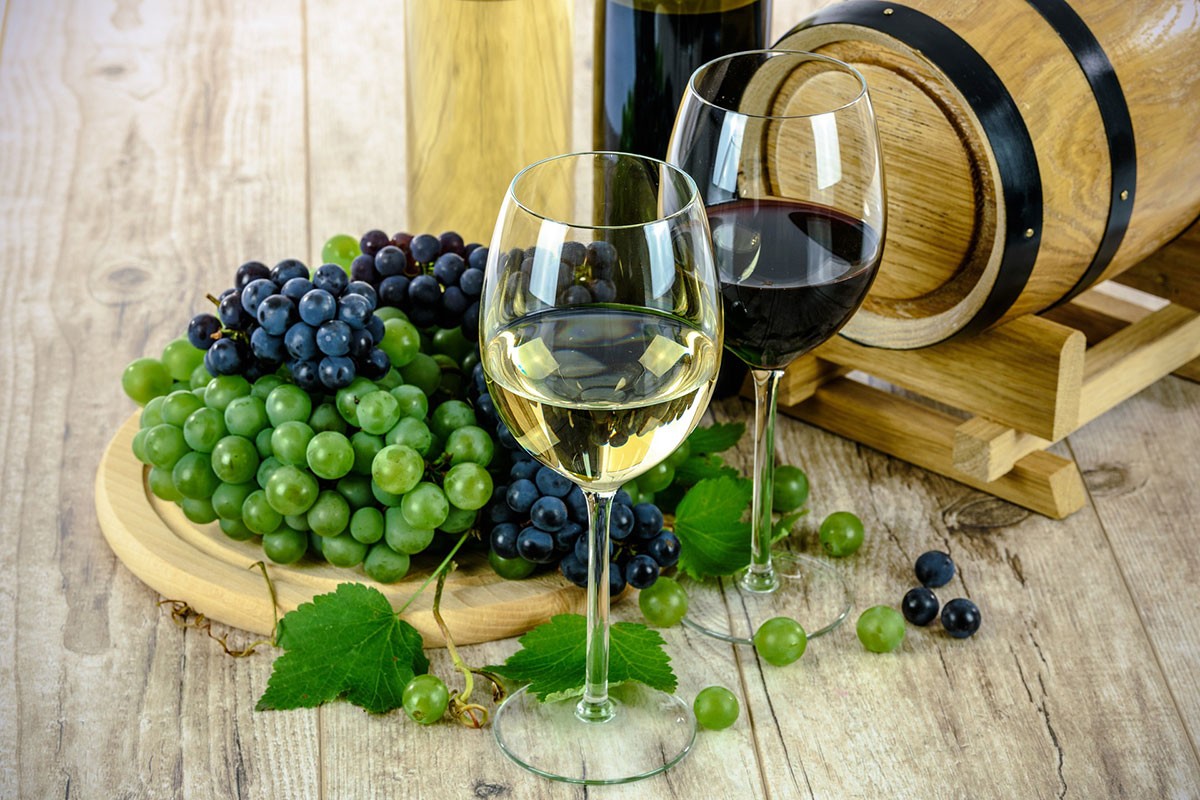Hrvatska vinarija nudi posao kojeg je teško odbiti