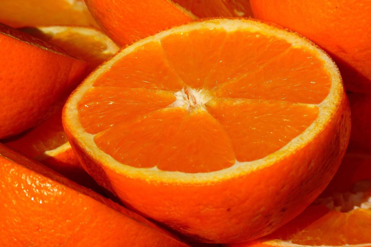 Zabranjen uvoz narandži iz Južne Afrike u Srpsku