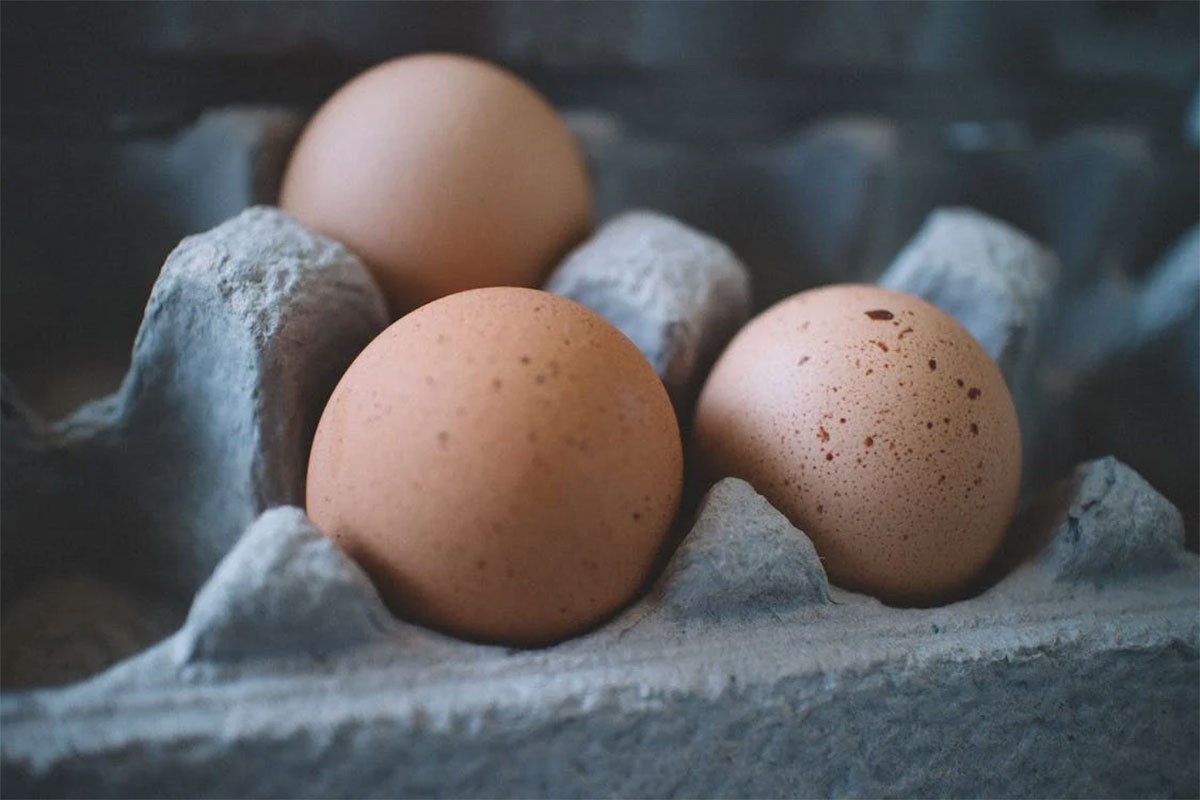 Nestašica jaja u Velikoj Britaniji