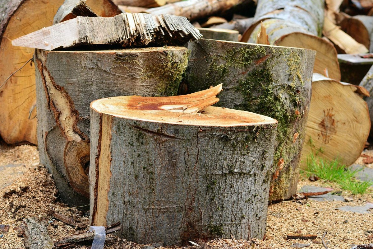 Nesreća u Tesliću: Drva se obrušila na radnika i ubila ga