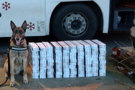 Pas nanjušio 50.000 cigareta u autobusu (FOTO)