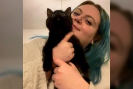 Potrošila 8.000 evra kod veterinara da bi saznala da joj je mačka samo čudna