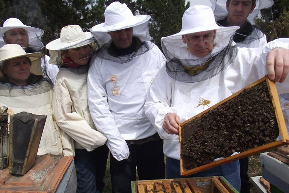 Vremenske prilike zavarale pčele, mogući veliki gubici