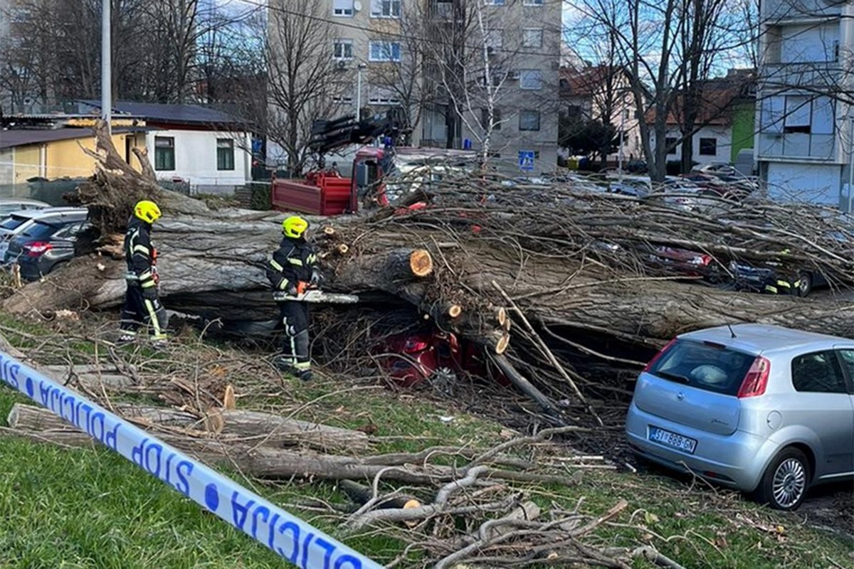 Snažan vjetar širom Hrvatske, porušena stabla i crijepovi s kuća