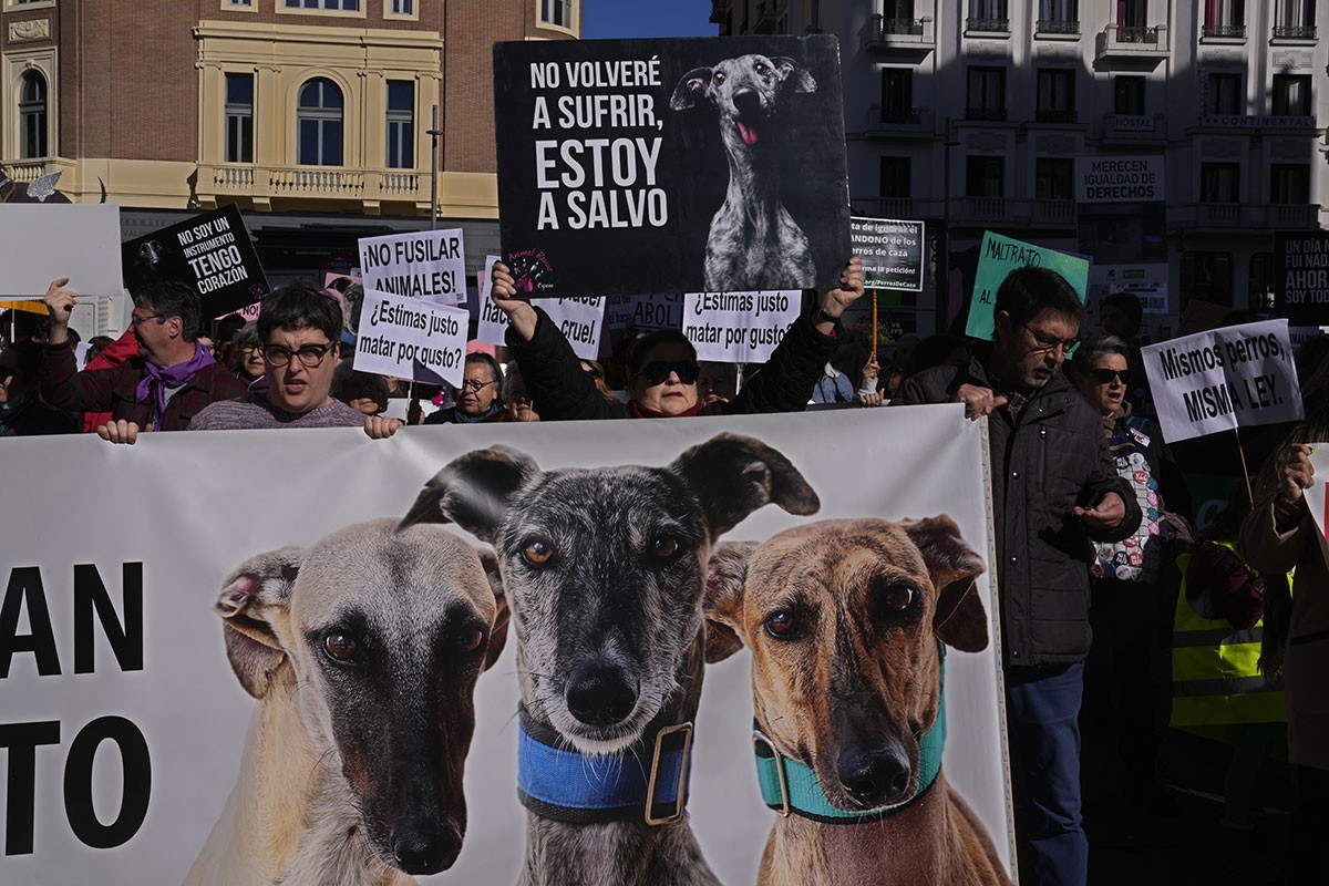 Hiljade ljudi na ulicama zbog lovačkih pasa