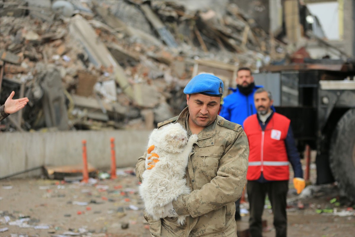 Žandarmerija spasila mačka ispod ruševina u Dijarbakiru