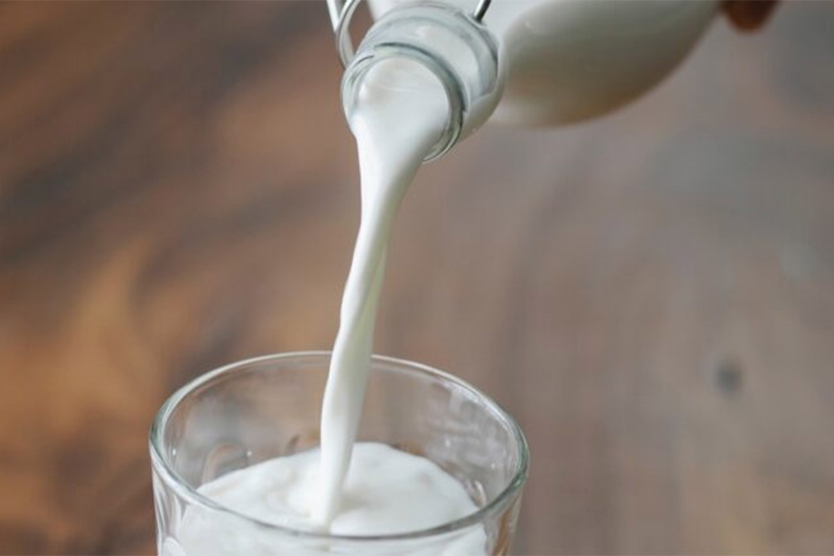 Šta samo jedna čaša mlijeka dnevno radi vašem organizmu