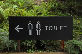 Arkanzas transrodnim osobama zabranio da koriste toalete