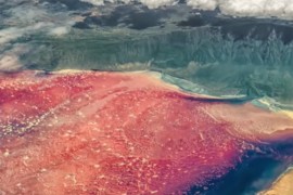 Misteriozno jezero životinje pretvara u kamen (VIDEO)