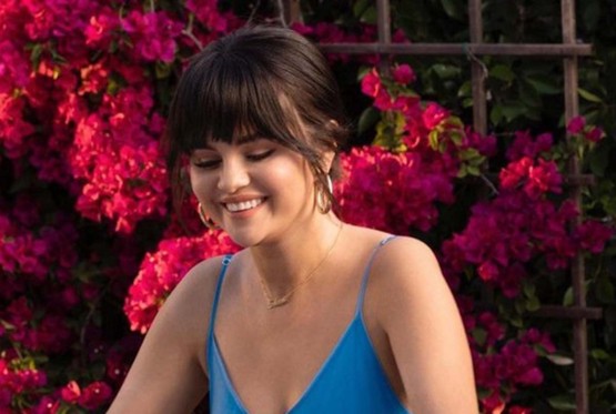 Selena Gomez u vezi sa Zejn Malikom