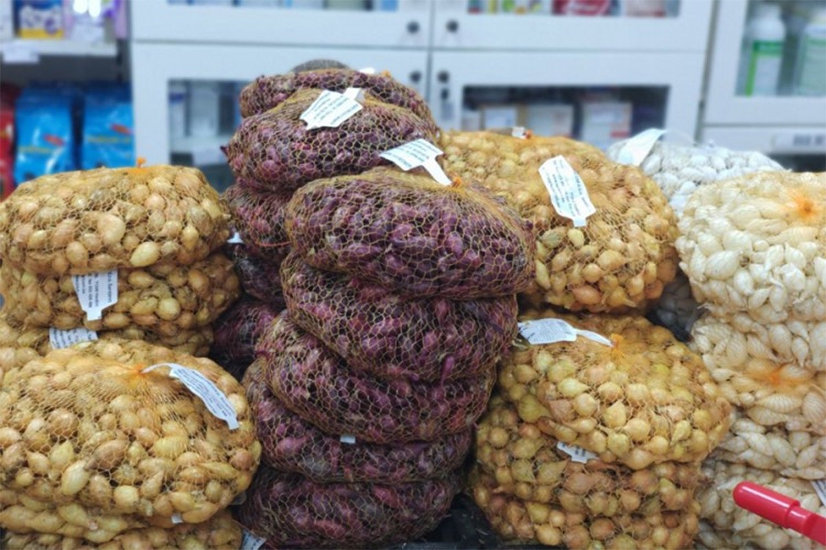 Zabranjen uvoz 4.000 kilograma sjemena luka iz Nizozemske