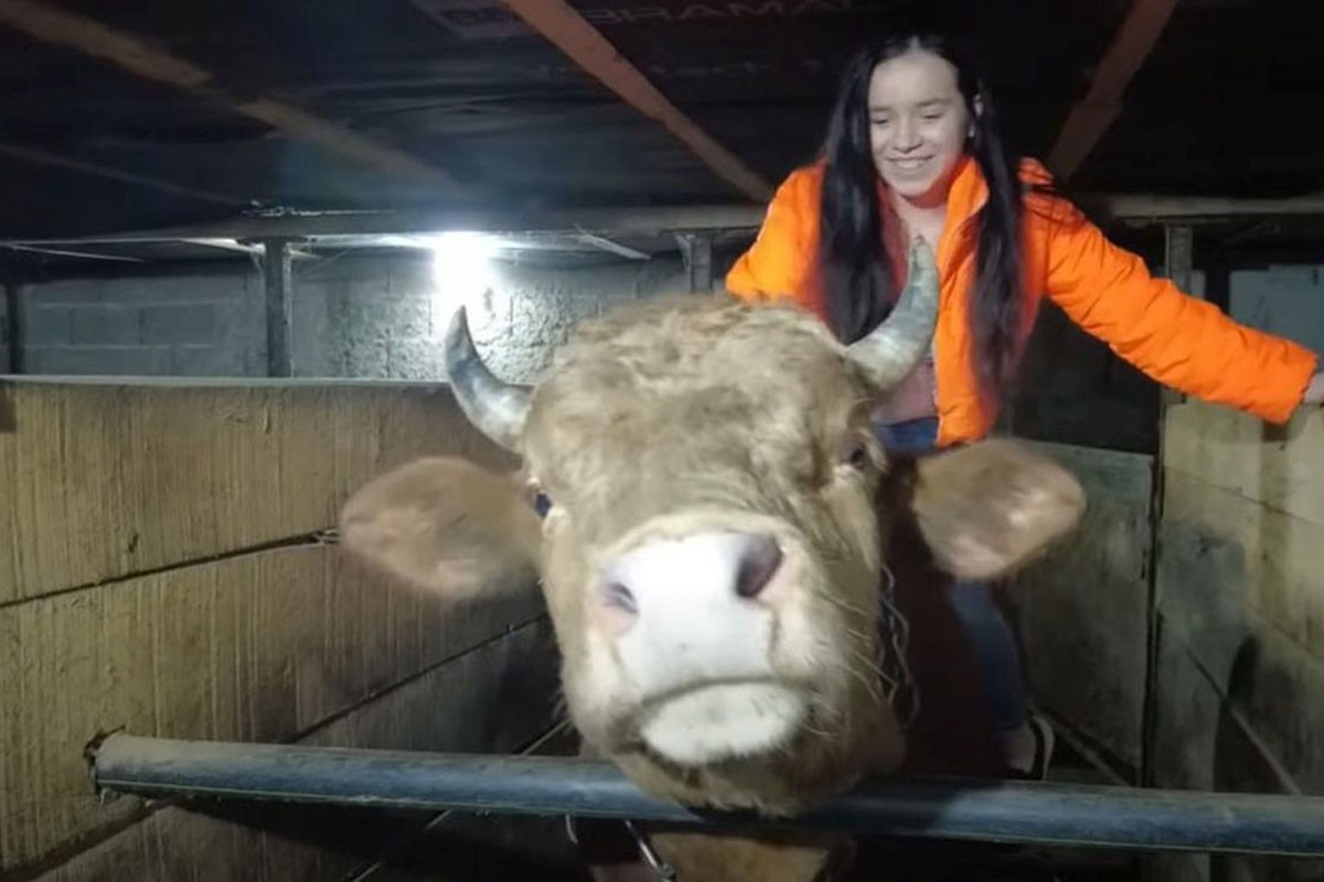 Emina ima samo 16 godina: Trenira bikove, vozi traktor i takmiči se na koridi
