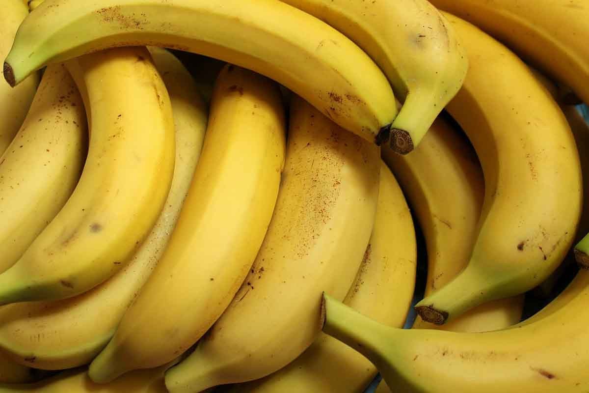 Pronađen kokain među bananama, uhapšena tri Albanca