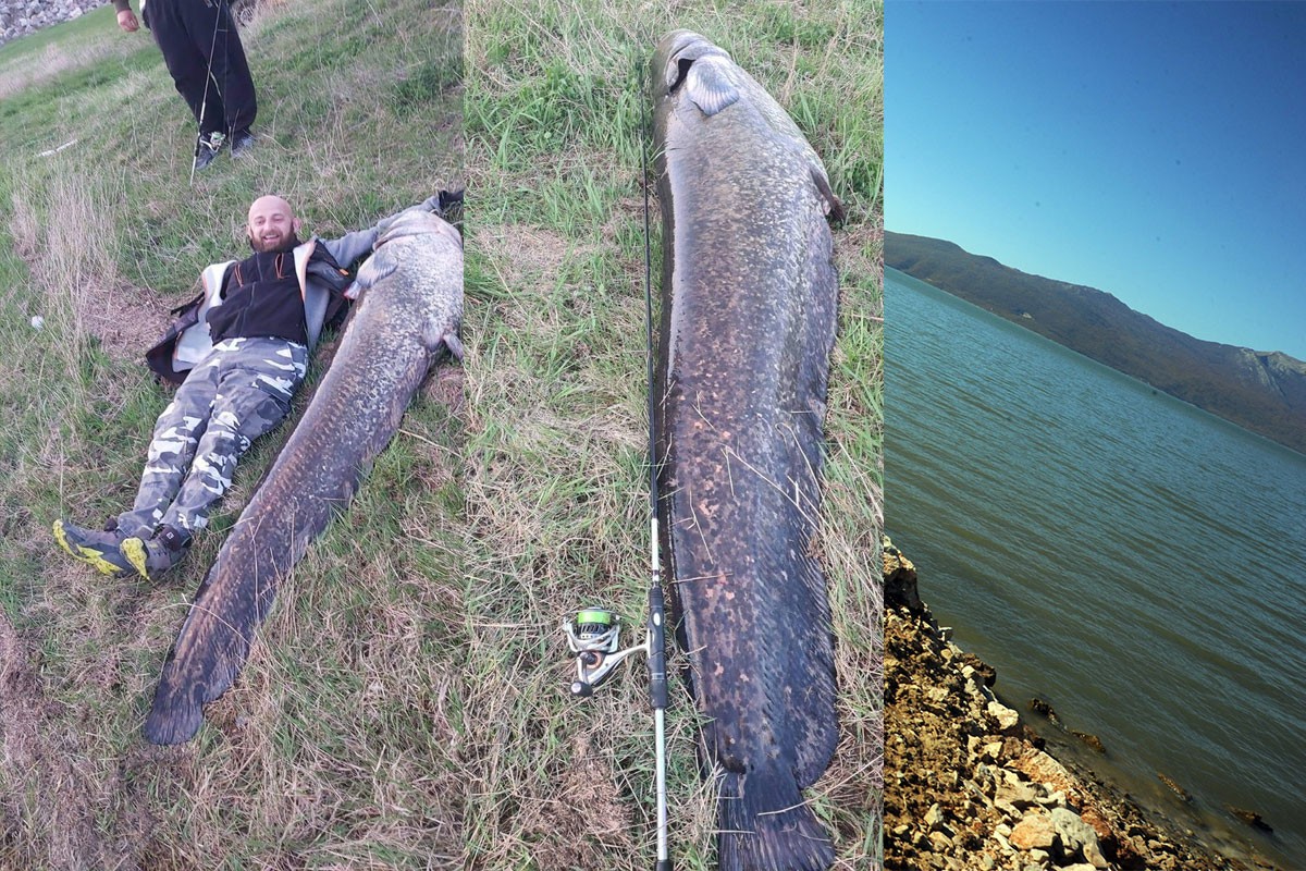 Somovi duži od dva metra ulovljeni u jezeru u BiH