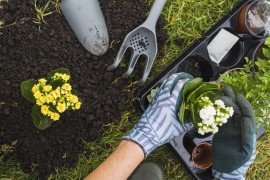 Rezultati istraživanja: Rad u vrtu smanjuje nivo stresa i sagorijeva ...