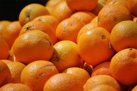 Cijena narandže leti u nebo: Najniži rod u posljednjih 90 godina