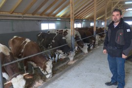 Farmeri traže povećanje otkupnih cijena mlijeka