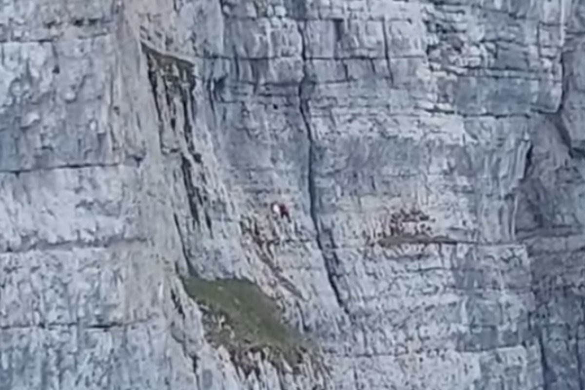 Spasena žena koja se zaglavila na litici Veleža (VIDEO)