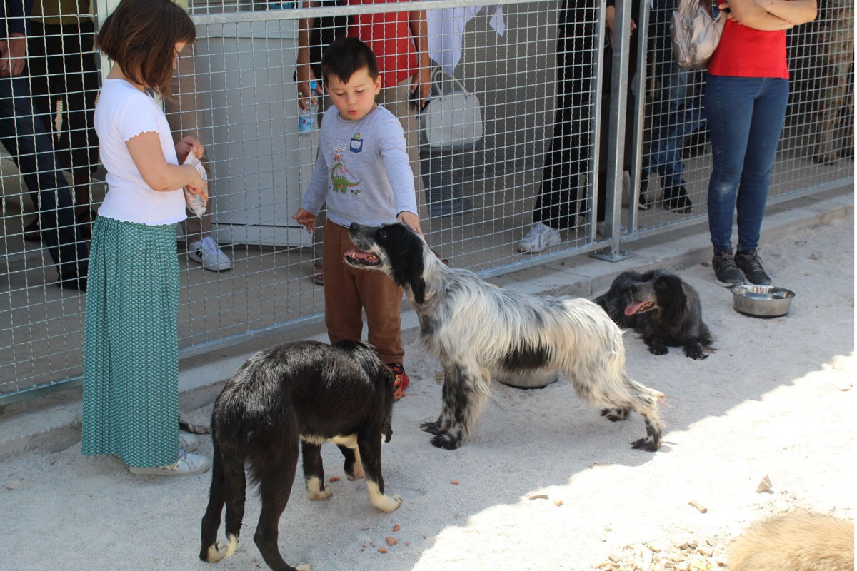 Otvoren novi azil za pse u Trebinju