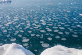 Naučnici upozoravaju: Led na Arktiku može da nestane do 2030. godine