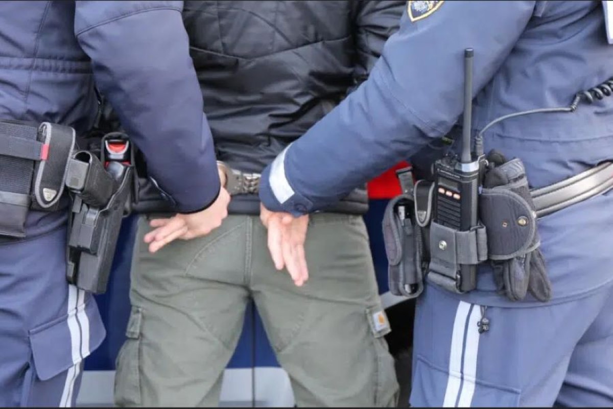 Državljanin Srbije napao policajce u Beču, prijetio im da će ih ubiti