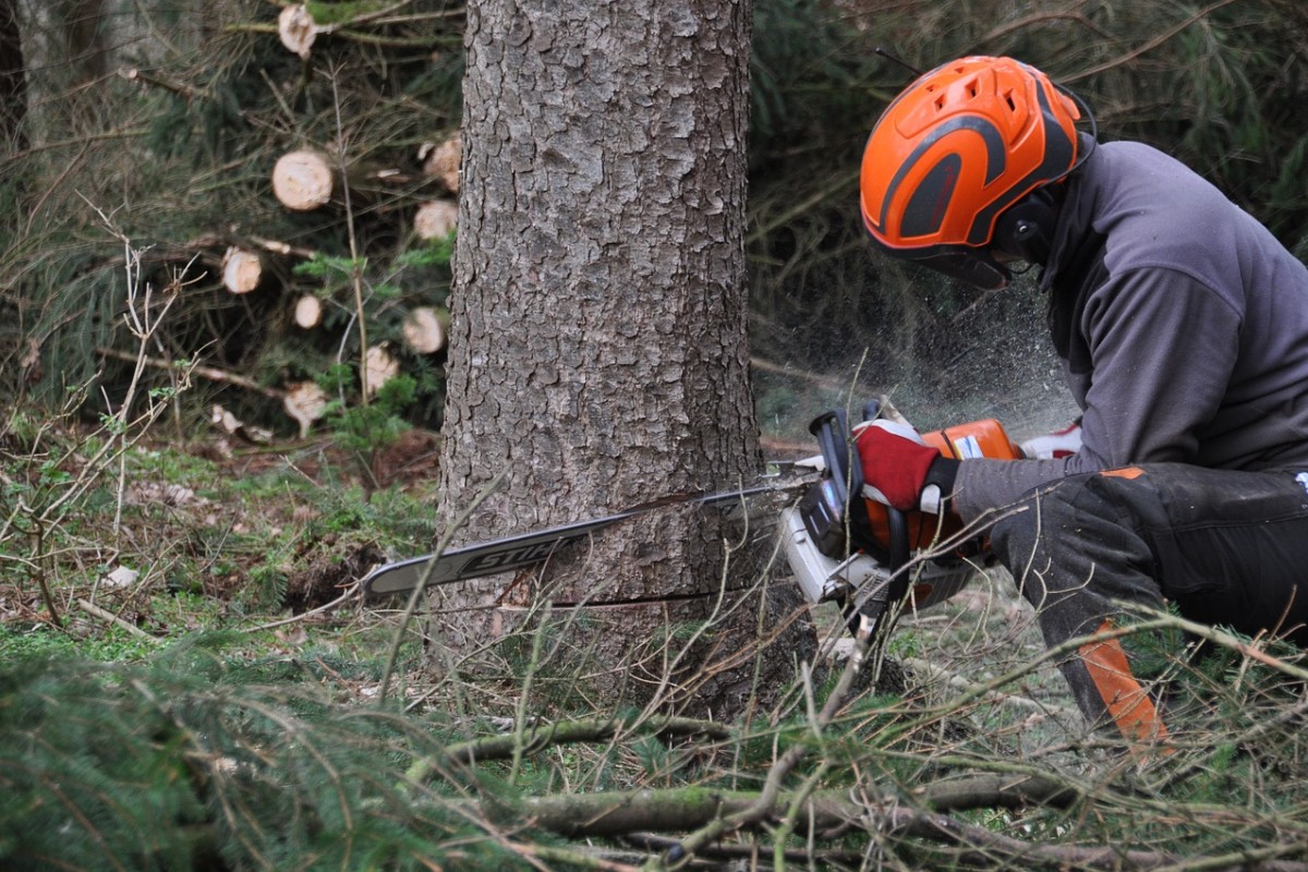 Šumarski radnik iz BiH teže povrijeđen u nezgodi u Austriji