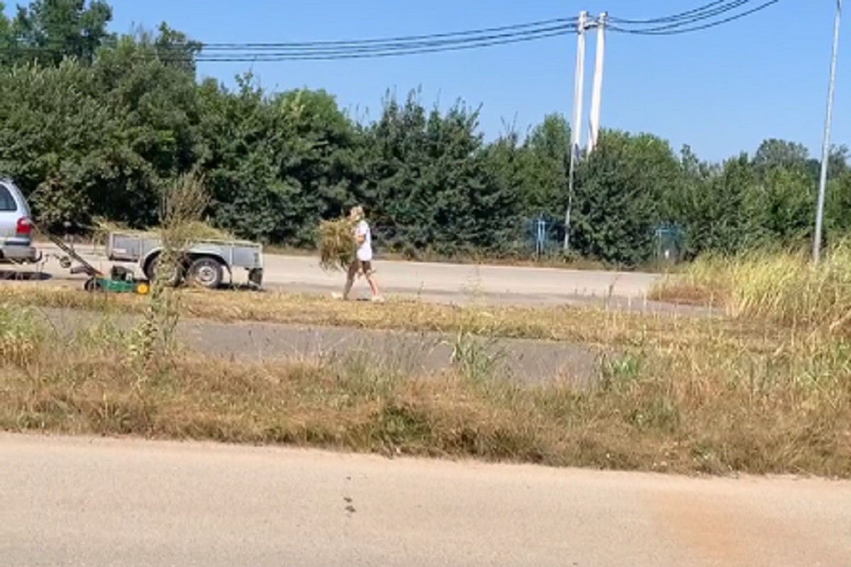 Došli na godišnji odmor u BiH pa kosili travu oko graničnog prelaza (VIDEO)