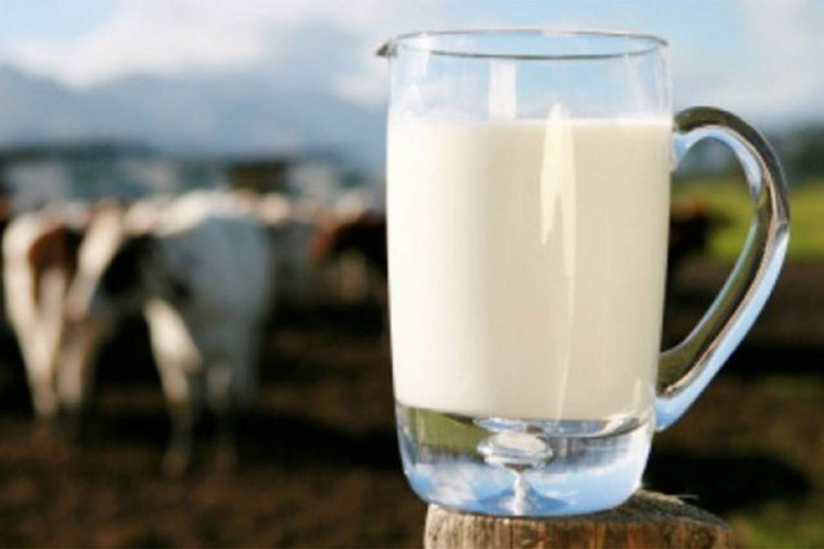U junu prikupljeno 2,7 odsto više kravljeg mlijeka