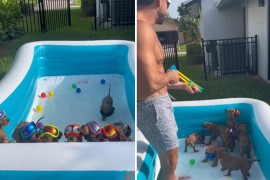 Urnebesna zabava u bazenu: "Ne znam ko se više zabavlja" (VIDEO)