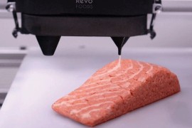 Prvi na svijetu: Losos štampan 3D printerom sada u supermarketima (VIDEO)