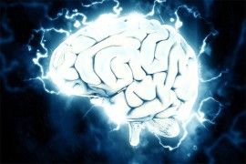 Neuralink može da počne ispitivanje moždanih implanata na ljudima sa ...