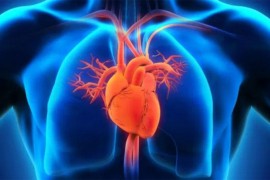 Kardiovaskularne bolesti prvi uzrok smrti