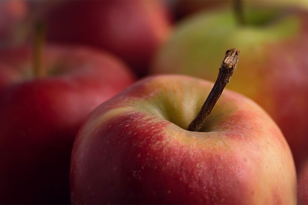 Rod jabuke u Srbiji dobar, ali većina ide u industriju