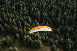 Paraglajder zapeo za stablo, pa pao s visine od 10 metara