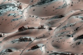 Oblici na Marsu koji jako podsjećaju na drveće