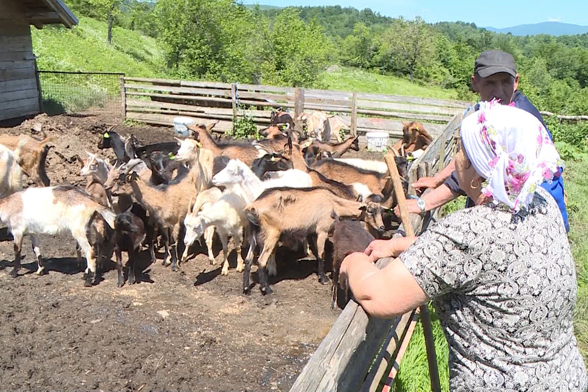 "Život žena na selu nije lak, ali je ljepši"