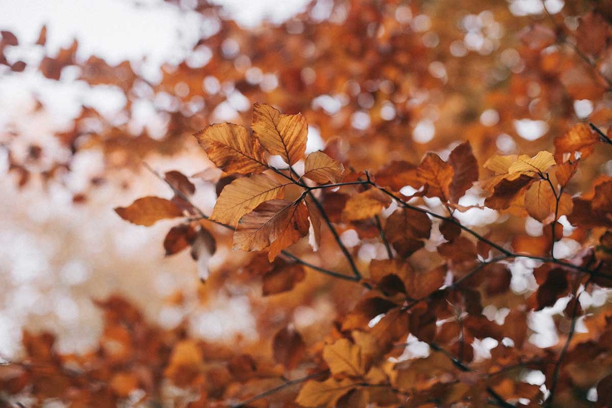 Evo kakvo nas vrijeme očekuje u novembru