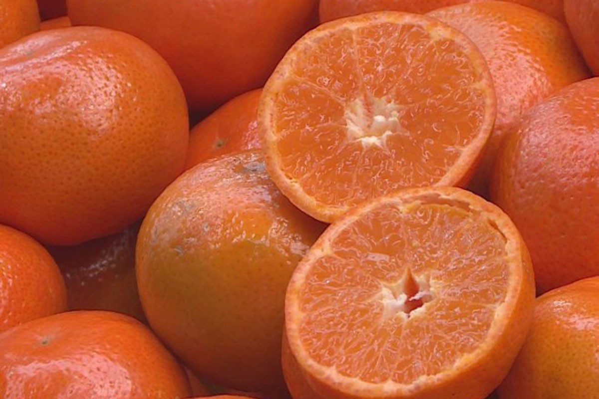 BiH zabranila uvoz mandarina iz Hrvatske